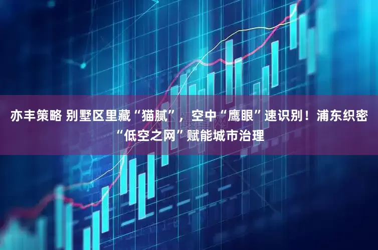 亦丰策略 别墅区里藏“猫腻”，空中“鹰眼”速识别！浦东织密“低空之网”赋能城市治理